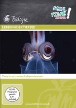 Film: Leben in der Tiefsee