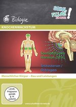 Film: Knochenwachstum