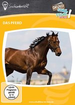 Film: Das Pferd