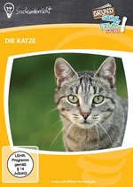 Film: Die Katze