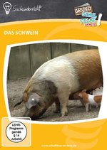 Film: Das Schwein