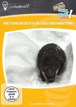 Film: Wie Tiere in Deutschland überwintern