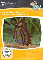 Film: Schmetterlinge - Wie sie sich verwandeln