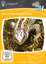 Film: Kriechtiere und Reptilien