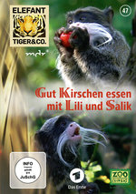 Film: Elefant, Tiger & Co. - Teil 47 [2 DVDs]