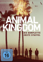 Film: Animal Kingdom - Die komplette 1. Staffel