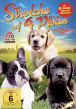 Film: Strolche auf 4 Pfoten - Die schönsten Hundespiel