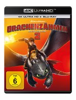 Film: Drachenzähmen leicht gemacht 2 (+ BR)