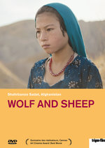 Film: Wolf and Sheep