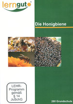 Film: Die Honigbiene