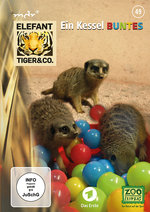 Film: Elefant, Tiger & Co. - Teil 49 [2 DVDs]