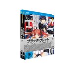 Film: Black Bullet - Gesamtausgabe (Episoden 1-13)