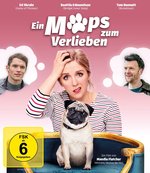 Film: Ein Mops zum Verlieben