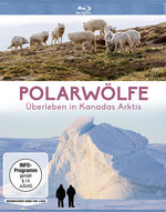 Film: Polarwölfe - Überleben in Kanadas Arktis