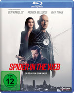 Film: Spider in the Web