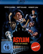 Film: Asylum - Irrgarten des Schreckens