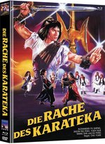 Film: Die Rache des Karateka