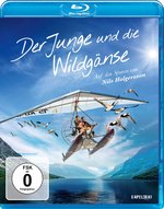 Film: Der Junge und die Wildgänse
