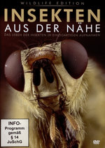 Film: Insekten aus der Nähe