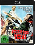 Film: Sturm über Texas - Terror in a Texas Town