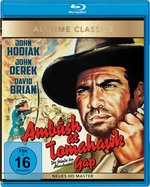 Film: Ambush at Tomahawk Gap - Stunde der Abrechnung