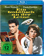 Film: Ein Goldfisch an der Leine