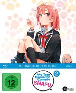 Film: My Teen Romantic Comedy SNAFU - Vol.2