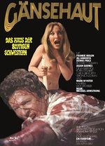 Film: Gänsehaut - The Haunted House of Horror