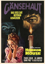 Film: Gänsehaut - The Haunted House of Horror