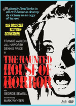 Film: Gänsehaut - The Haunted House of Horror