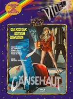 Film: Gänsehaut - The Haunted House of Horror