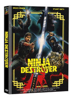 Film: Ninja Destroyer
