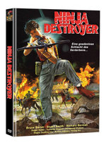 Film: Ninja Destroyer
