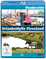 Film: Urlaubsidylle Flevoland