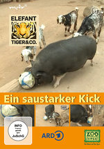 Film: Elefant, Tiger & Co. - Teil 57 - Ein saustarker