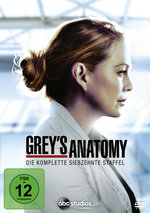 Film: Grey's Anatomy - Staffel 17