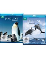Film: Bundle: Pinguine Hautnah / Delfine Hautnah