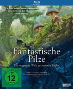 Film: FANTASTISCHE PILZE - Die magische Welt zu unsere