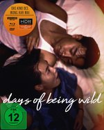 Film: Days of Being Wild
