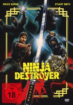 Film: Ninja Destroyer
