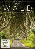 Film: Der Wald - Das grüne Wunder unserer Heimat