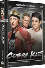 Film: Cobra Kai - Staffel 3