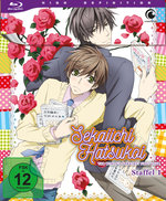 Film: Sekaiichi Hatsukoi - The World's Greatest First