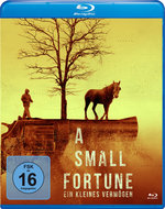Film: A Small Fortune - Ein kleines Vermögen