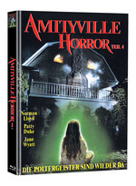 Film: Amityville IV