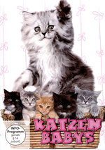 Film: Katzenbabys
