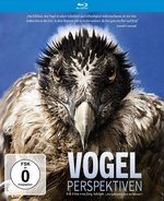 Film: Vogelperspektiven