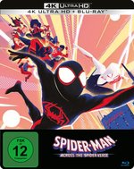 Film: Spider-Man: Across the Spider-Verse