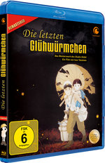 Film: Die letzten Glühwürmchen
