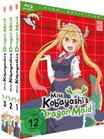 Film: Miss Kobayashis Dragon Maid - Staffel 1 - Gesamt